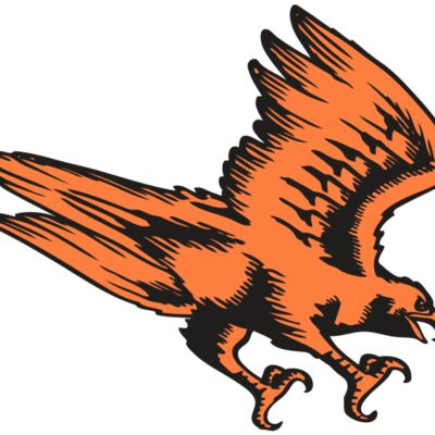 BAW HWK FLCN 04 RC Thumbnail