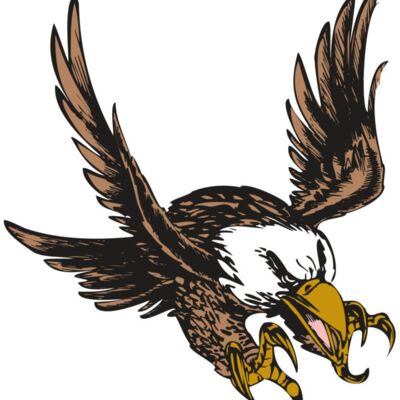 BAW EAG 05 RC Thumbnail