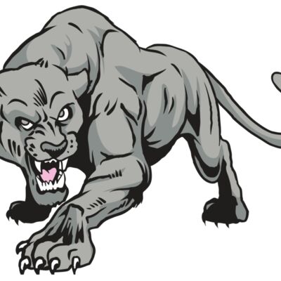 AR31 COUGAR 01 RQC Thumbnail