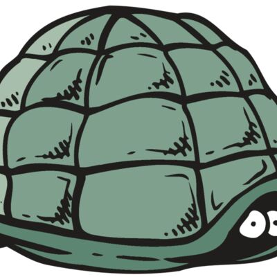 AR5 Turtle 10 RQC Thumbnail