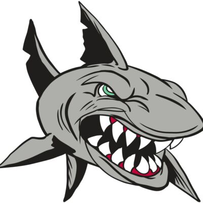 AR4 SHARK 01 RQC Thumbnail