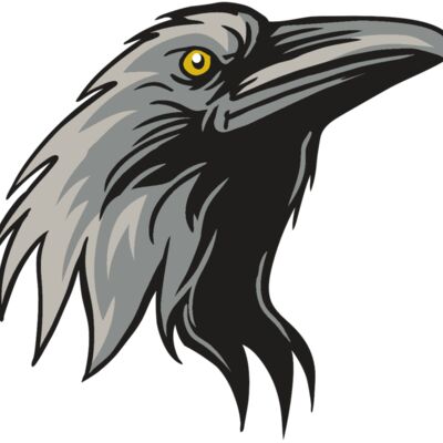 AR31 RAVEN 01 RQC Thumbnail