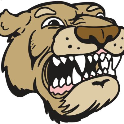 AR5 COUGAR 04 RQC Thumbnail