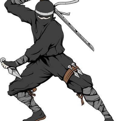 Chinese Ninja 1 Thumbnail