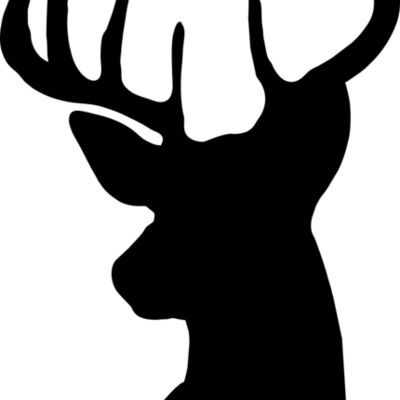 Reindeer 003 Thumbnail