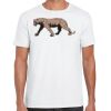 Mens Softstyle Tee Shirt Thumbnail